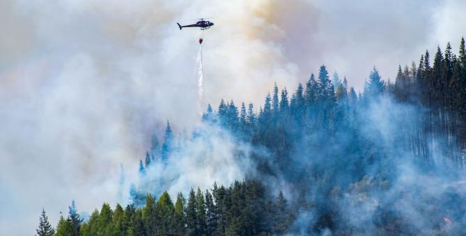 Un hélicoptère éteint un feu de forêt
